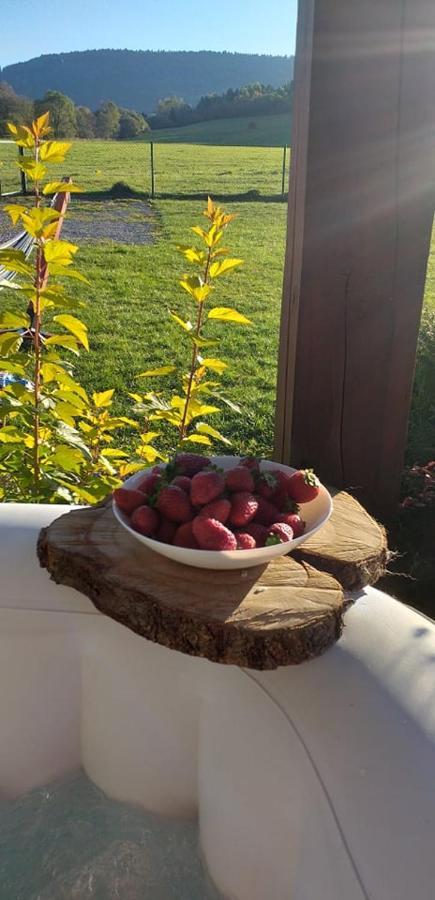 Waszczyszynowka Bieszczady Holiday home Bandrow Narodowy